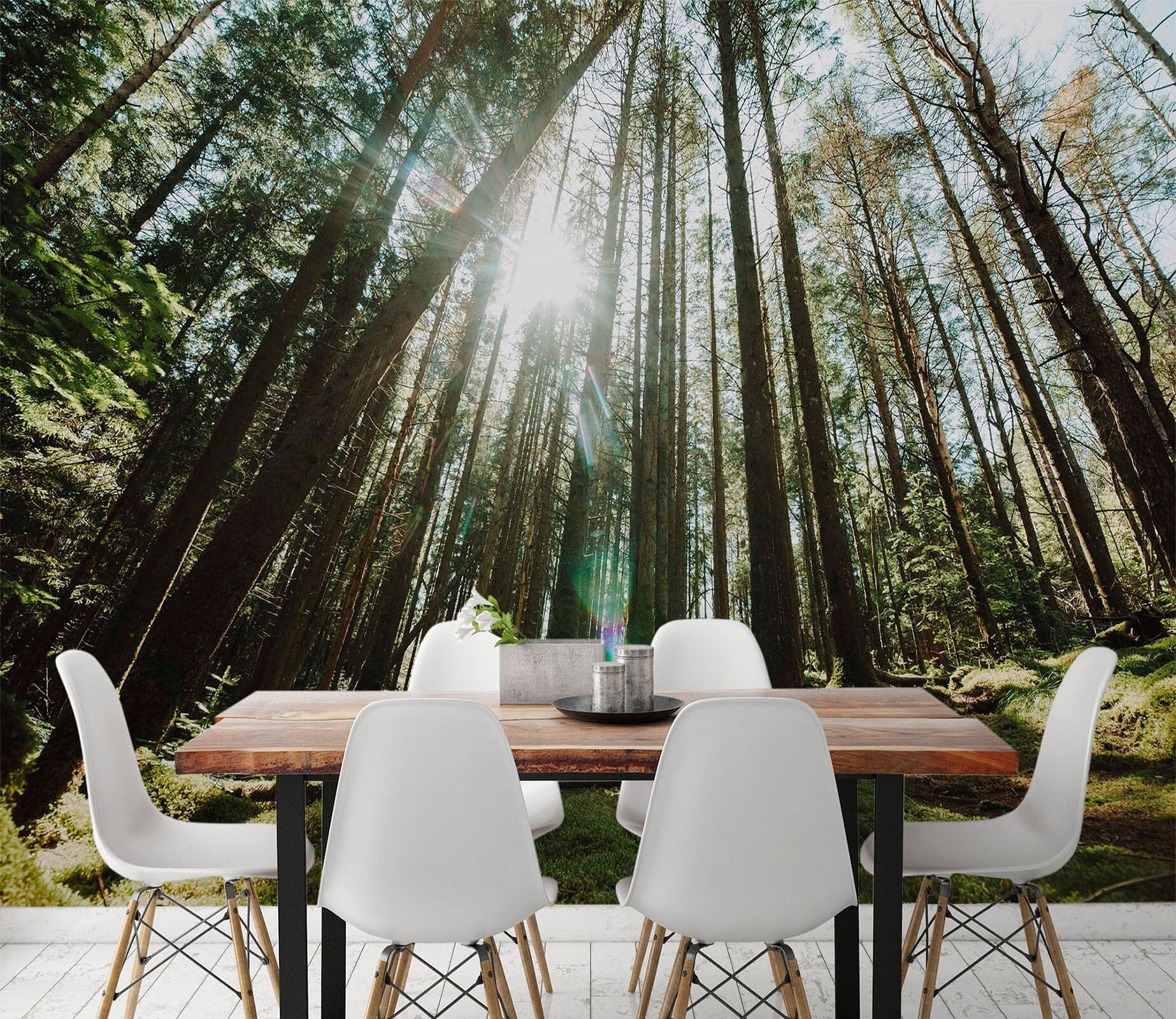 3D Sunshine Forest 80 Wall Murals Wallpaper AJ Wallpaper 2 