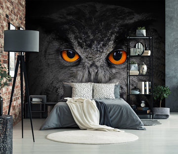 3D Owl 1717 Wall Murals Wallpaper AJ Wallpaper 2 