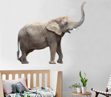 3D Elephant Nose 058 Animals Wall Stickers Wallpaper AJ Wallpaper 