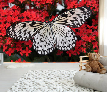 3D Black Butterfly 145 Wall Murals Wallpaper AJ Wallpaper 2 