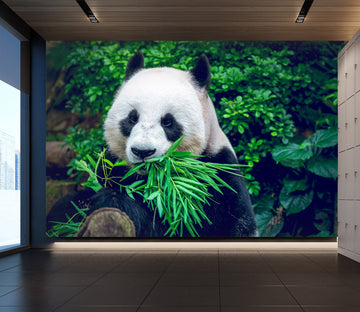 3D Panda Leaves 58055 Wall Murals