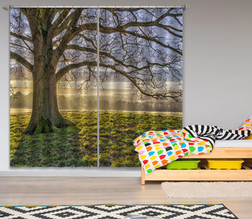 3D Stout Tree 087 Assaf Frank Curtain Curtains Drapes