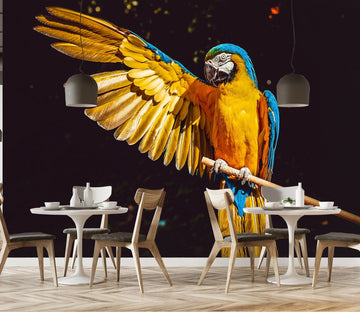 3D Color Parrot 137 Wall Murals Wallpaper AJ Wallpaper 2 