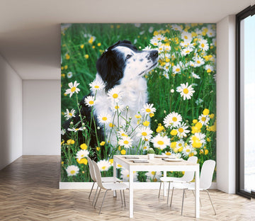 3D Daisy Puppy 169 Wall Murals Wallpaper AJ Wallpaper 2 