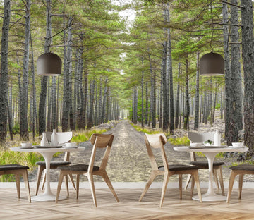 3D Autumn Woods 1432 Assaf Frank Wall Mural Wall Murals Wallpaper AJ Wallpaper 2 