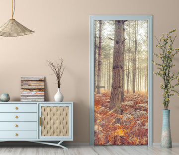 3D Grey Trunk 5111 Assaf Frank Door Mural