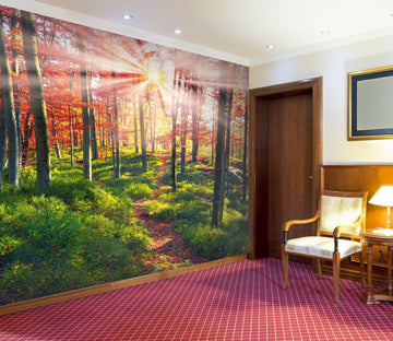 3D Beeches The Rocks 18 Wall Murals Wallpaper AJ Wallpaper 2 
