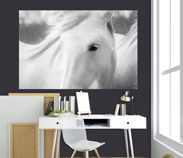 3D White Horse 142 Marco Carmassi Wall Sticker Wallpaper AJ Wallpaper 2 