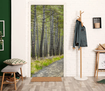 3D Woods Trees Path 10737 Assaf Frank Door Mural