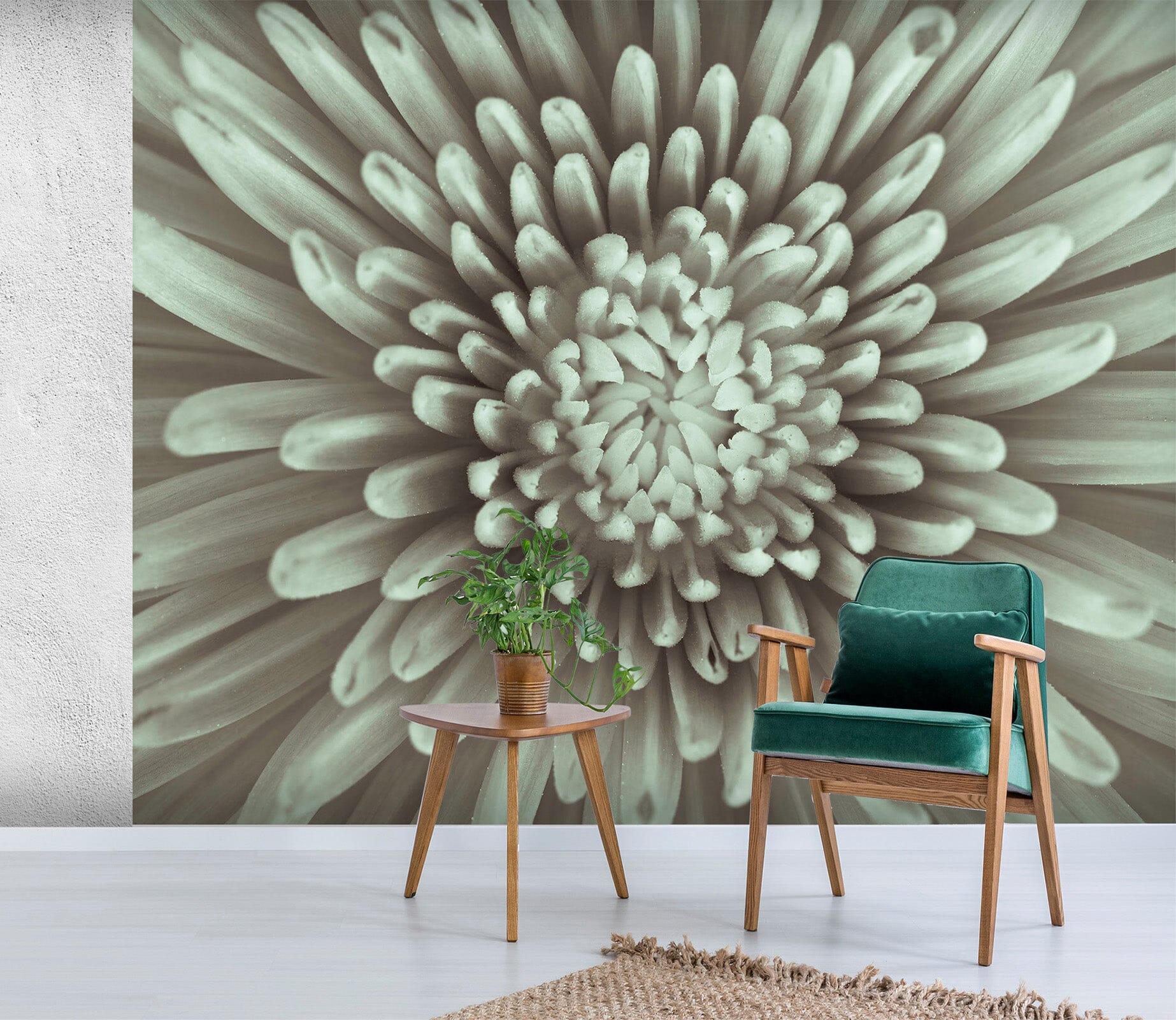 3D White Daisy 1401 Assaf Frank Wall Mural Wall Murals Wallpaper AJ Wallpaper 2 