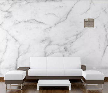 3D Black Curve WC1935 Wall Murals