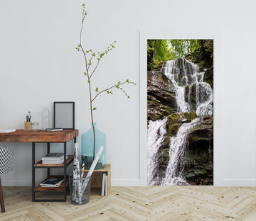 3D Waterfall 24144 Door Mural