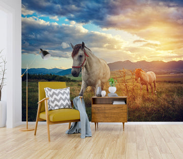 3D Sunset Horse 127 Wall Murals Wallpaper AJ Wallpaper 2 