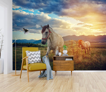 3D Sunset Horse 127 Wall Murals