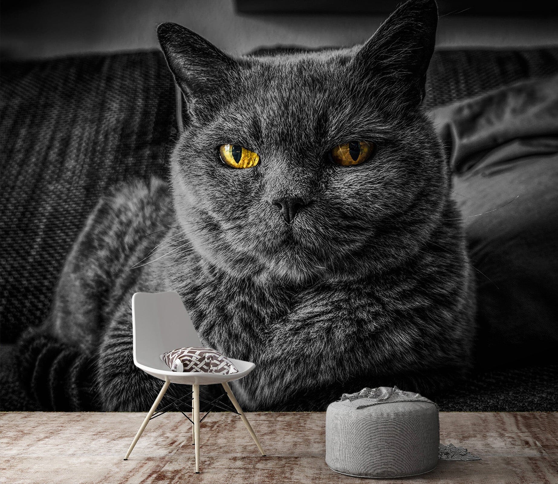 3D Black Kitten 146 Wall Murals Wallpaper AJ Wallpaper 2 