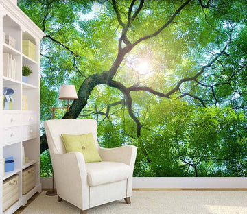 3D Sun Forest 116 Wall Murals Wallpaper AJ Wallpaper 2 