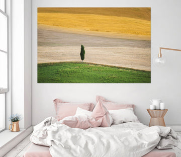 3D Desert Tree 192 Marco Carmassi Wall Sticker Wallpaper AJ Wallpaper 2 
