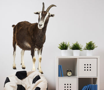 3D Black Antelope 090 Animals Wall Stickers Wallpaper AJ Wallpaper 
