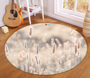 3D Hazy Grass 7342 Assaf Frank Rug Round Non Slip Rug Mat