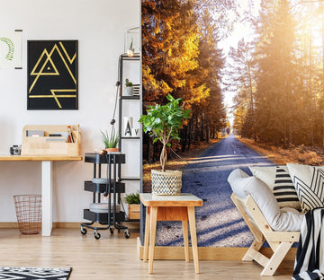 3D Forest Road 2093 Wall Murals Wallpaper AJ Wallpaper 2 