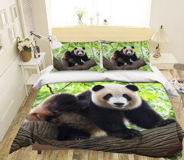 3D Forest Panda 1926 Bed Pillowcases Quilt Quiet Covers AJ Creativity Home 