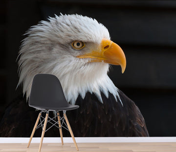 3D White Eagle 138 Wall Murals Wallpaper AJ Wallpaper 2 
