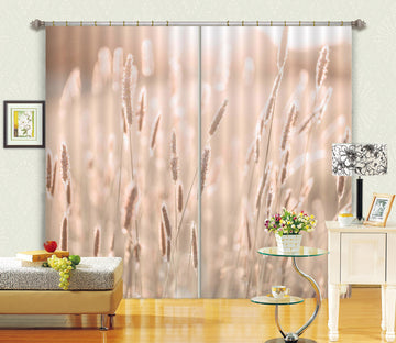 3D Autumn Grass 6347 Assaf Frank Curtain Curtains Drapes