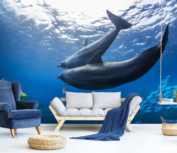 3D Undersea Dolphin 1431 Wall Murals Wallpaper AJ Wallpaper 2 