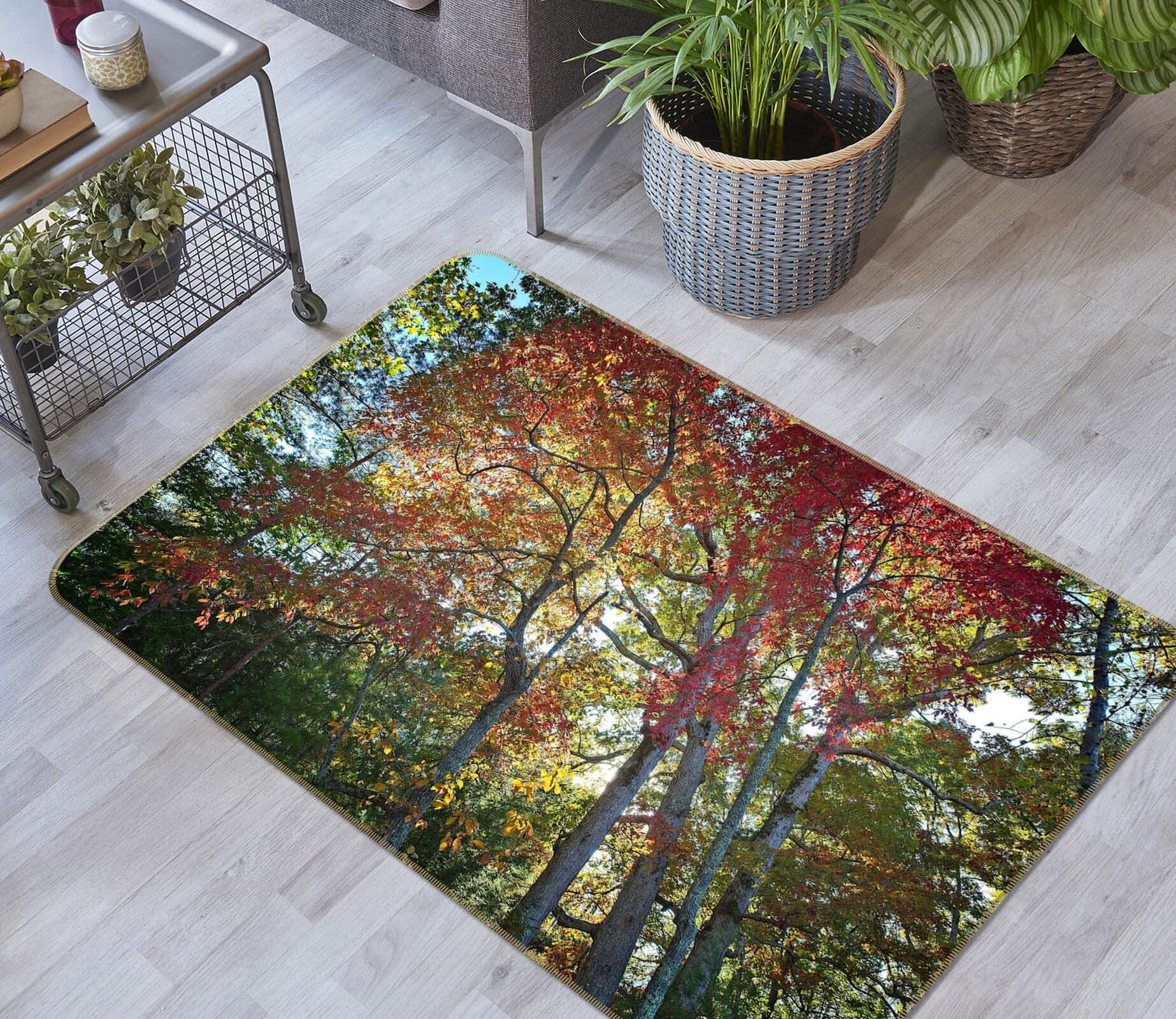 3D Forest Sunlight 1119 Kathy Barefield Rug Non Slip Rug Mat Mat AJ Creativity Home 