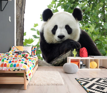 3D Panda Forest 342 Wall Murals Wallpaper AJ Wallpaper 2 