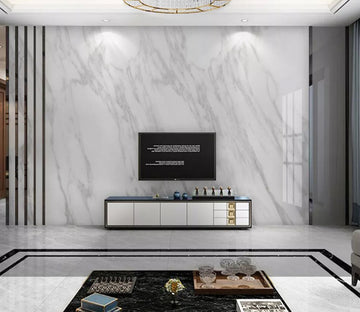 3D Line Stripes WC2297 Wall Murals