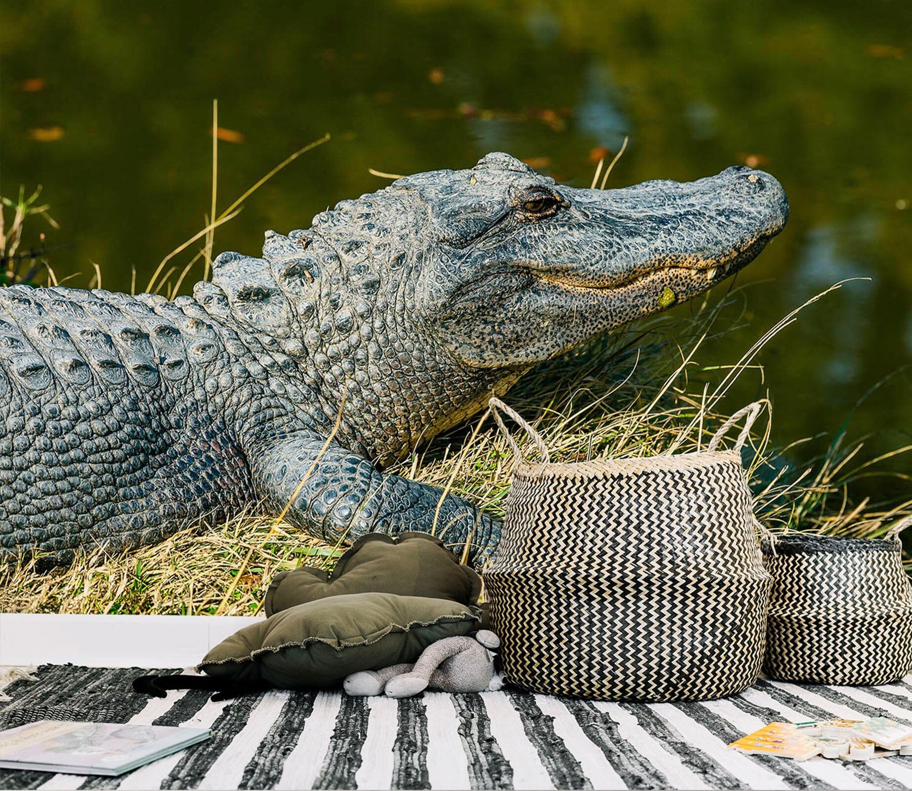 3D Crocodile 227 Wall Murals Wallpaper AJ Wallpaper 2 