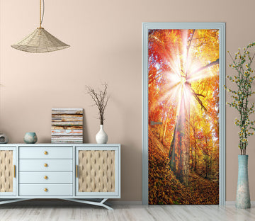 3D Tree Sunlight 25059 Door Mural