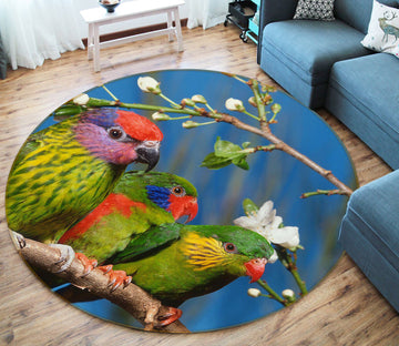 3D Flower Branch Bird 82029 Animal Round Non Slip Rug Mat