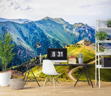 3D Prairie Mountain 1094 Wall Murals