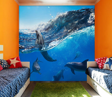 3D Sea Dolphin 112 Wall Murals Wallpaper AJ Wallpaper 2 
