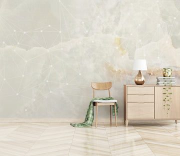 3D White Wire Connection WG091 Wall Murals