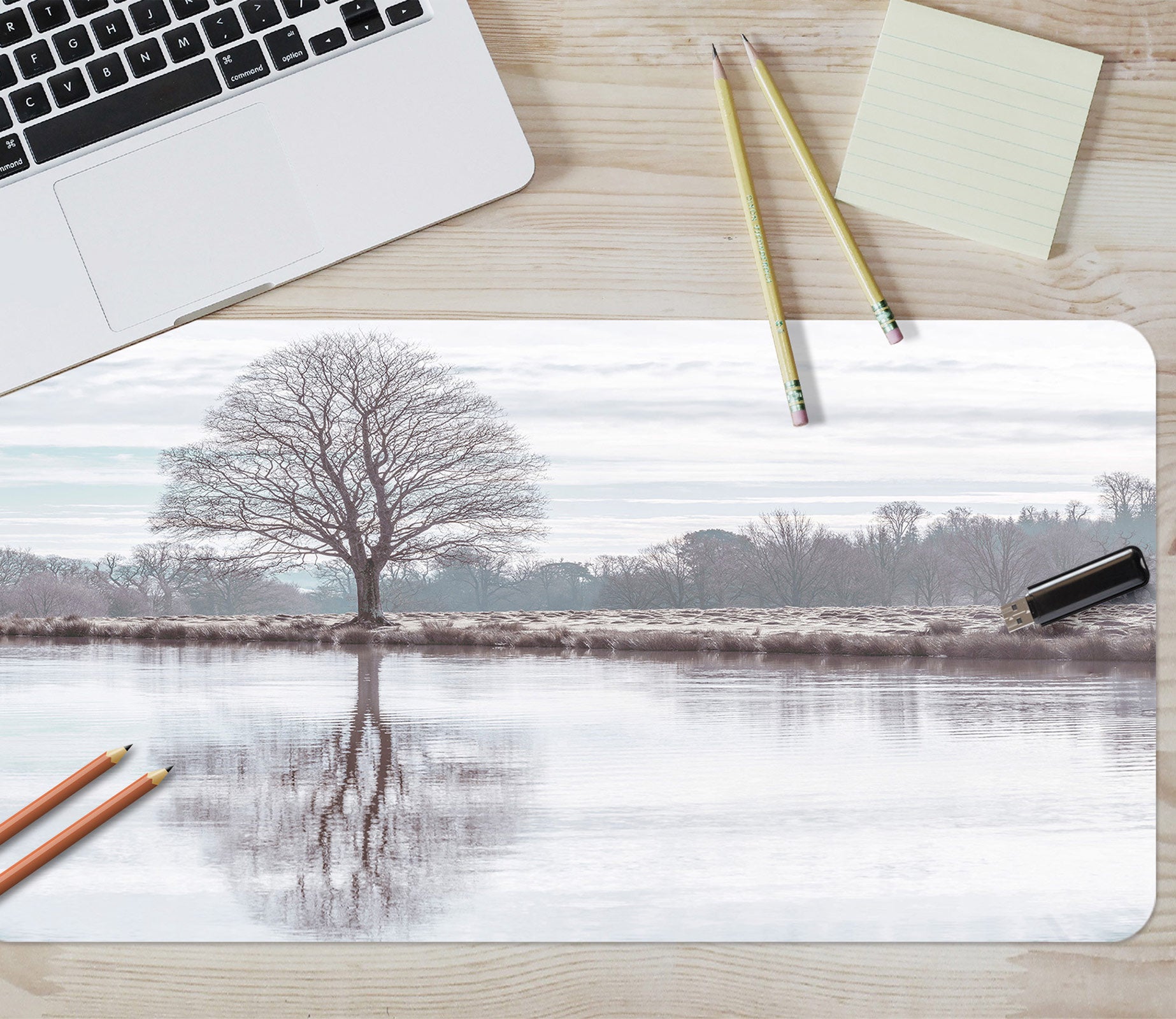 3D Lake Tree Shadow 12453 Assaf Frank Desk Mat
