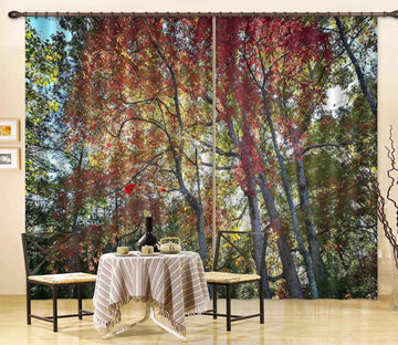 3D Natural Forest 063 Kathy Barefield Curtain Curtains Drapes Curtains AJ Creativity Home 