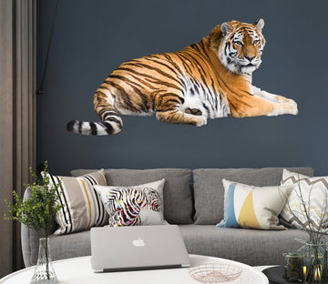 3D Striped Tiger 056 Animals Wall Stickers Wallpaper AJ Wallpaper 