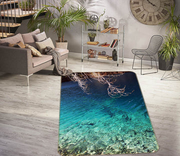 3D Seabed 27014 Non Slip Rug Mat