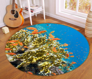 3D Coral Fish 69131 Round Non Slip Rug Mat