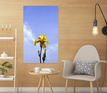 3D Flowers 110141 Matthew Holden Bates Wall Sticker