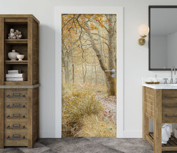 3D Forest Trail 5094 Assaf Frank Door Mural