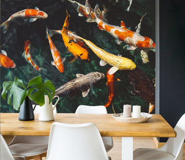 3D Koi Fish 162 Wall Murals Wallpaper AJ Wallpaper 2 