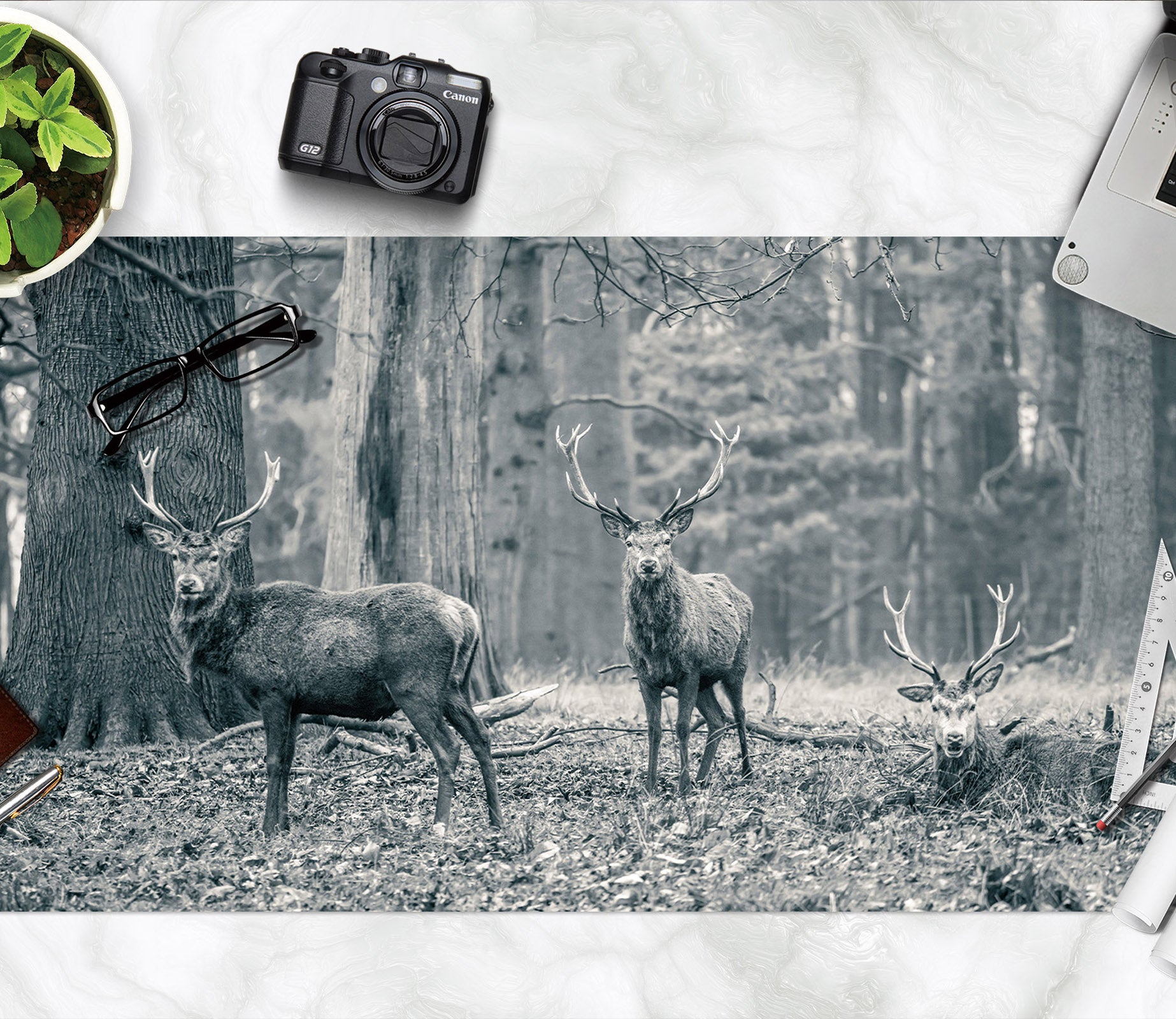 3D Animal Elk 7767 Assaf Frank Desk Mat