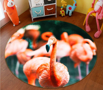 3D Flamingo Mouth 047 Animal Round Non Slip Rug Mat Mat AJ Creativity Home 