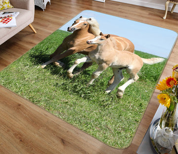 3D Lawn Horse 167 Animal Non Slip Rug Mat