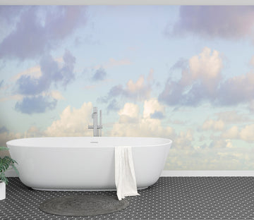 3D Sky Cloud 6229 Assaf Frank Wall Mural Wall Murals