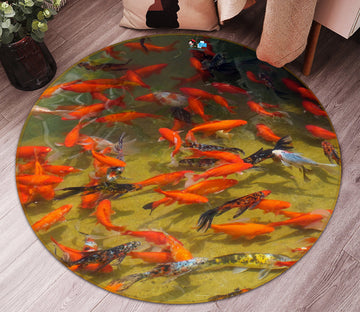3D Carp 74046 Round Non Slip Rug Mat